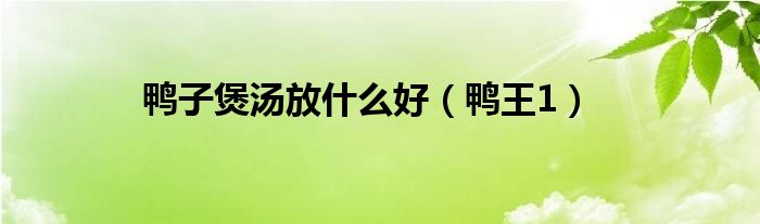 鸭王1(鸭子煲汤放什么好)