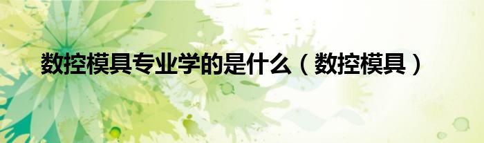 数控模具(数控模具专业学的是什么)
