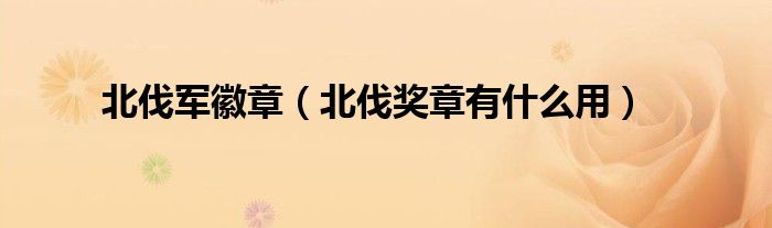 北伐奖章有什么用(北伐军徽章)