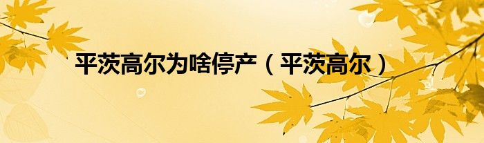 平茨高尔(平茨高尔为啥停产)