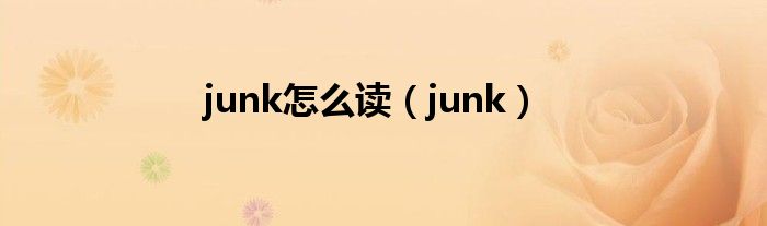 junk(junk怎么读)