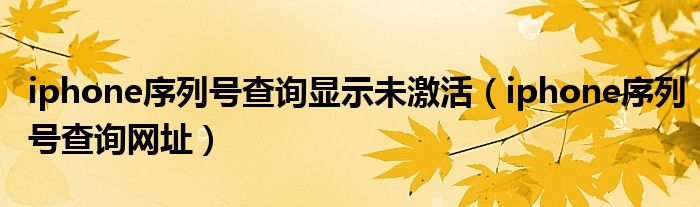 iphone序列号查询网址(iphone序列号查询显示未激活)