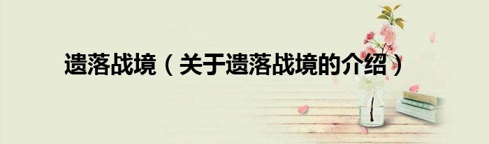 关于遗落战境的介绍(遗落战境)