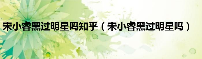 宋小睿黑过明星吗(宋小睿黑过明星吗知乎)