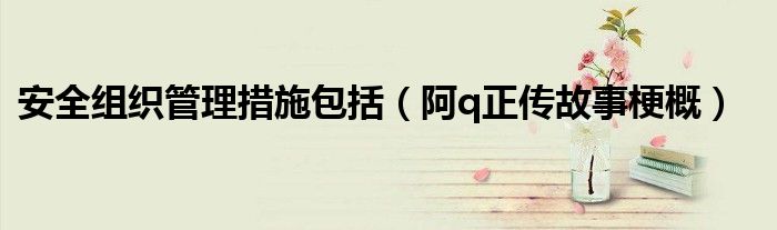 阿q正传故事梗概(安全组织管理措施包括)