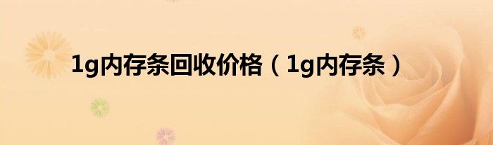 1g内存条(1g内存条回收价格)