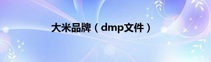 dmp文件(大米品牌)