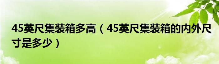 45英尺集装箱的内外尺寸是多少(45英尺集装箱多高)