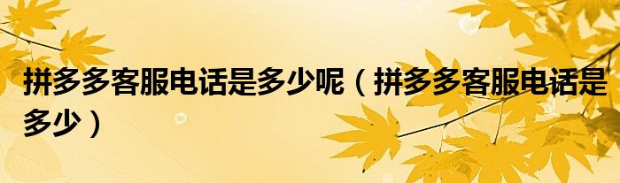 拼多多客服电话是多少(拼多多客服电话是多少呢)