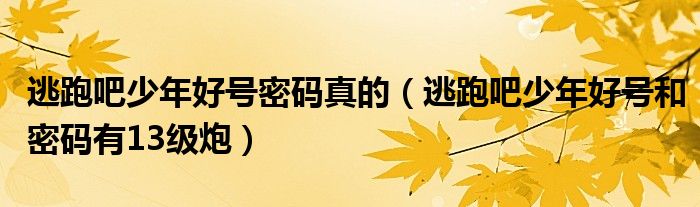逃跑吧少年好号和密码有13级炮(逃跑吧少年好号密码真的)