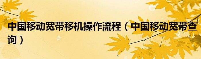 中国移动宽带查询(中国移动宽带移机操作流程)