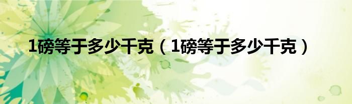 1磅等于多少千克(1磅等于多少千克)