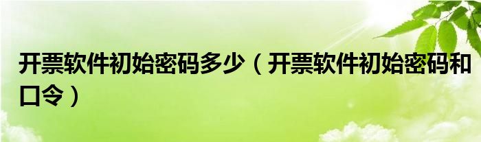 开票软件初始密码和口令(开票软件初始密码多少)