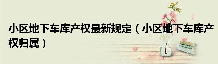 小区地下车库产权归属(小区地下车库产权最新规定)