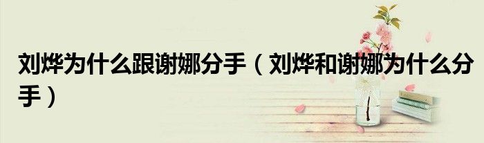 刘烨和谢娜为什么分手(刘烨为什么跟谢娜分手)