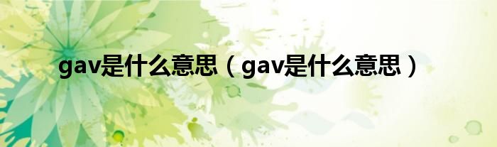 gav是什么意思(gav是什么意思)