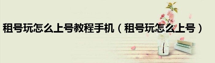 租号玩怎么上号(租号玩怎么上号教程手机)