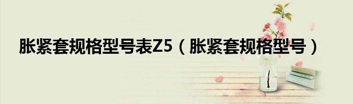 胀紧套规格型号(胀紧套规格型号表Z5)