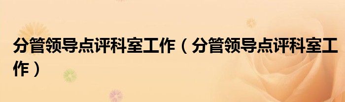 分管领导点评科室工作(分管领导点评科室工作)