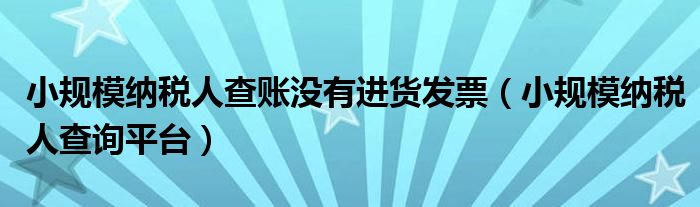小规模纳税人查询平台(小规模纳税人查账没有进货发票)