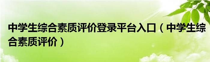 中学生综合素质评价(中学生综合素质评价登录平台入口)