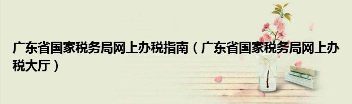 广东省国家税务局网上办税大厅(广东省国家税务局网上办税指南)