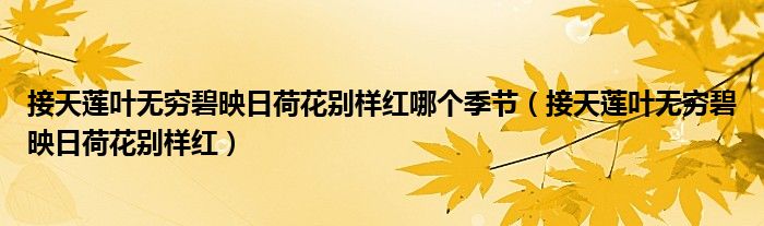 接天莲叶无穷碧映日荷花别样红(接天莲叶无穷碧映日荷花别样红哪个季节)