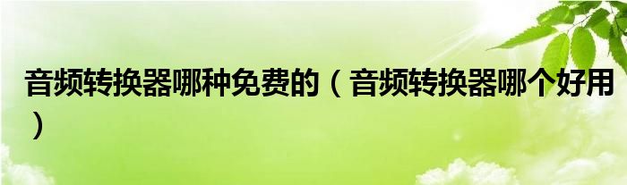 音频转换器哪个好用(音频转换器哪种免费的)