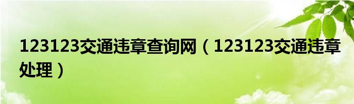 123123交通违章处理(123123交通违章查询网)