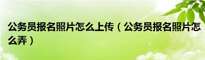 公务员报名照片怎么弄(公务员报名照片怎么上传)