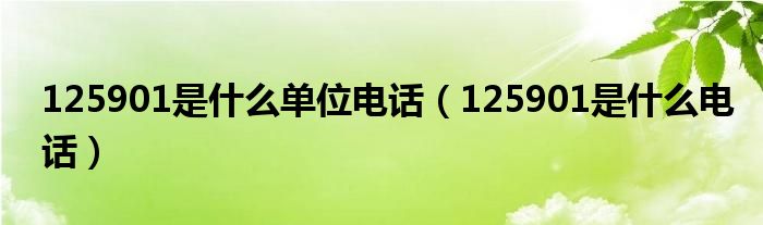125901是什么电话(125901是什么单位电话)
