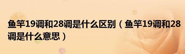 鱼竿19调和28调是什么意思(鱼竿19调和28调是什么区别)