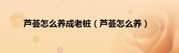 芦荟怎么养(芦荟怎么养成老桩)