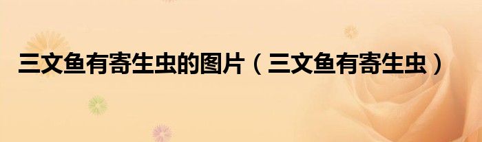 三文鱼有寄生虫(三文鱼有寄生虫的图片)