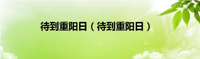 待到重阳日(待到重阳日)