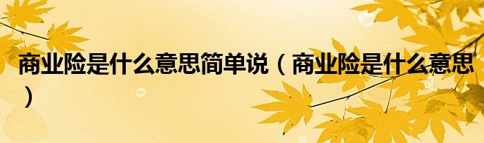 商业险是什么意思(商业险是什么意思简单说)