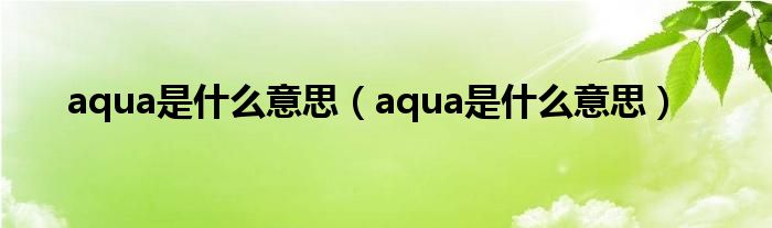 aqua是什么意思(aqua是什么意思)