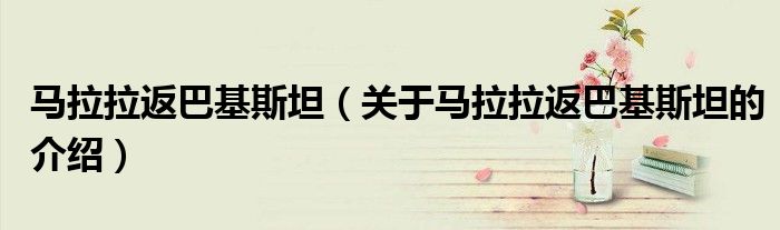 关于马拉拉返巴基斯坦的介绍(马拉拉返巴基斯坦)