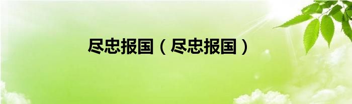 尽忠报国(尽忠报国)