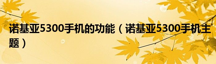 诺基亚5300手机主题(诺基亚5300手机的功能)