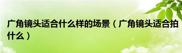 广角镜头适合拍什么(广角镜头适合什么样的场景)