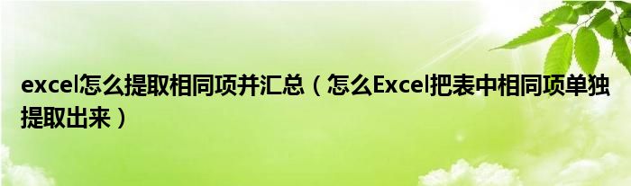 怎么Excel把表中相同项单独提取出来(excel怎么提取相同项并汇总)