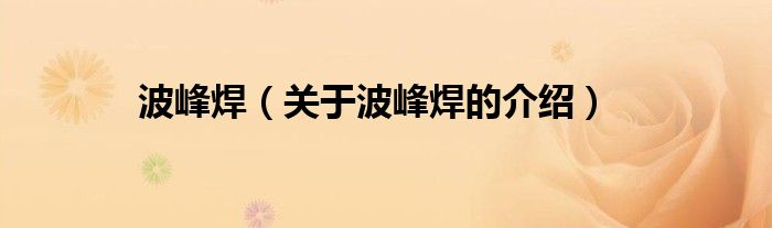 关于波峰焊的介绍(波峰焊)