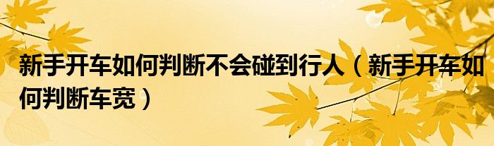 新手开车如何判断车宽(新手开车如何判断不会碰到行人)