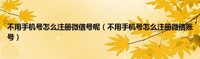 不用手机号怎么注册微信账号(不用手机号怎么注册微信号呢)