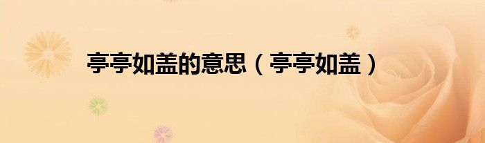 亭亭如盖(亭亭如盖的意思)