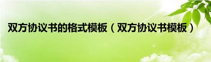 双方协议书模板(双方协议书的格式模板)