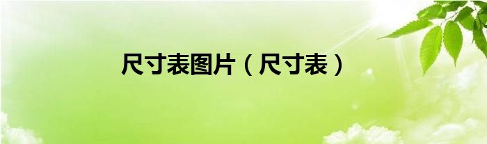 尺寸表(尺寸表图片)