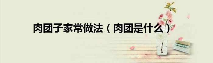 肉团是什么(肉团子家常做法)
