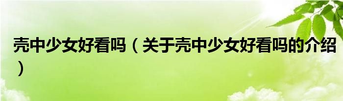 关于壳中少女好看吗的介绍(壳中少女好看吗)